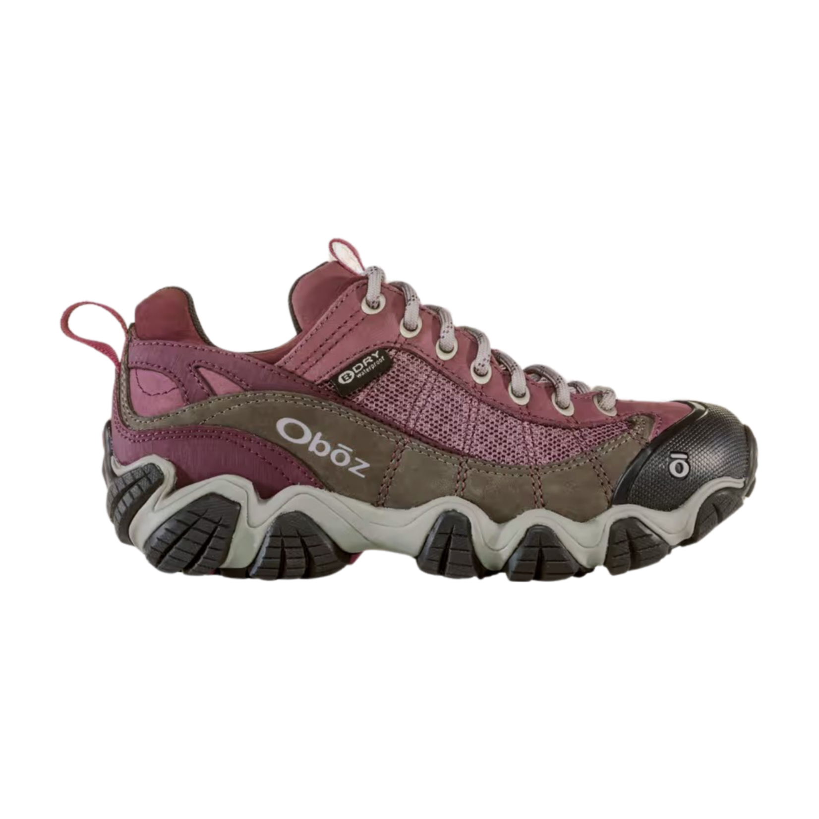 Oboz Oboz Ws Firebrand II Low B-Dry Shoes