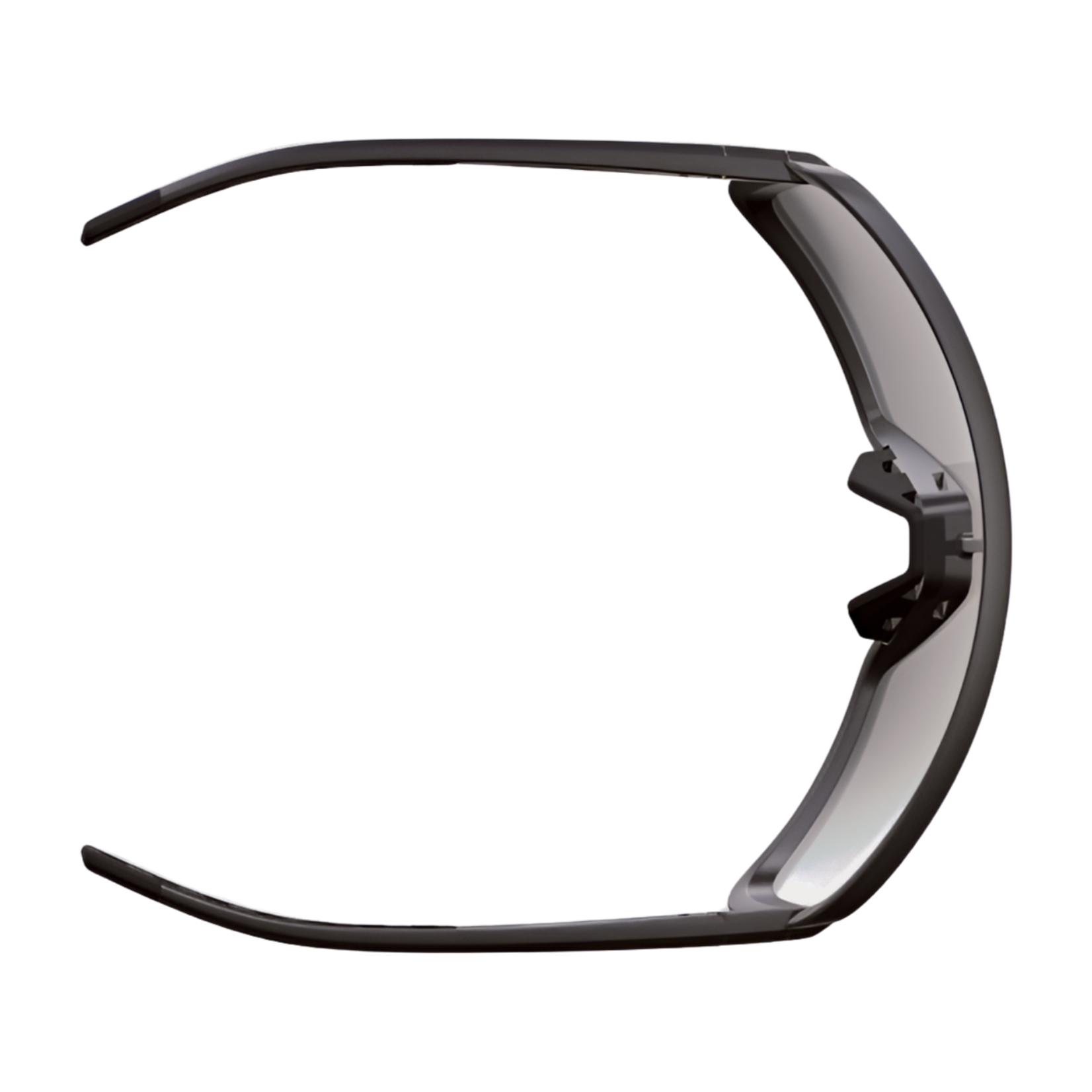 Scott Scott Torica LS Sunglasses