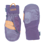 Outdoor Research Outdoor Research Team Gore-Tex Mitts