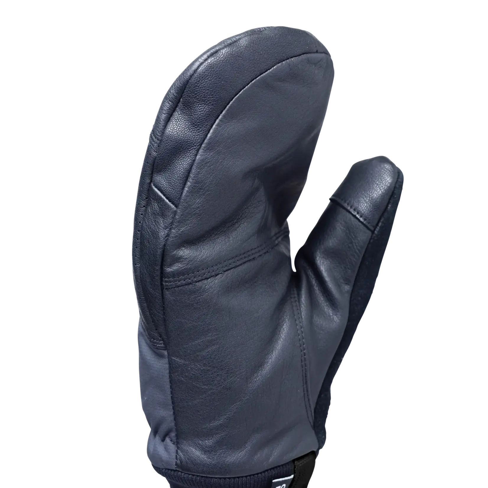 Outdoor Research Outdoor Research Snowcrew Leather Mitts