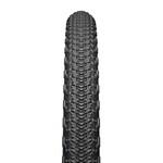 Teravail Sparwood Tire, TL, Folding, Tan, Light and Supple, 29 x 2.2