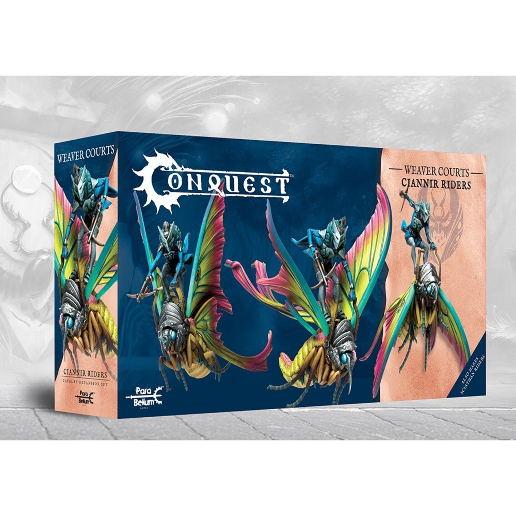 Weaver Courts: Ciannir Riders (pronounced Key-anne-ear)