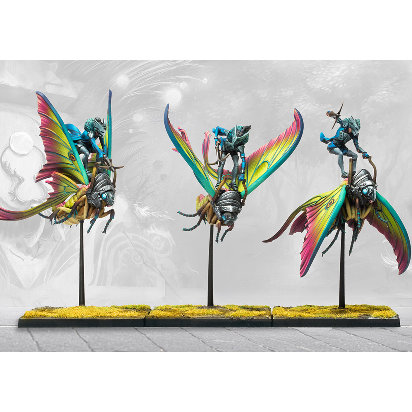 Weaver Courts: Ciannir Riders (pronounced Key-anne-ear)