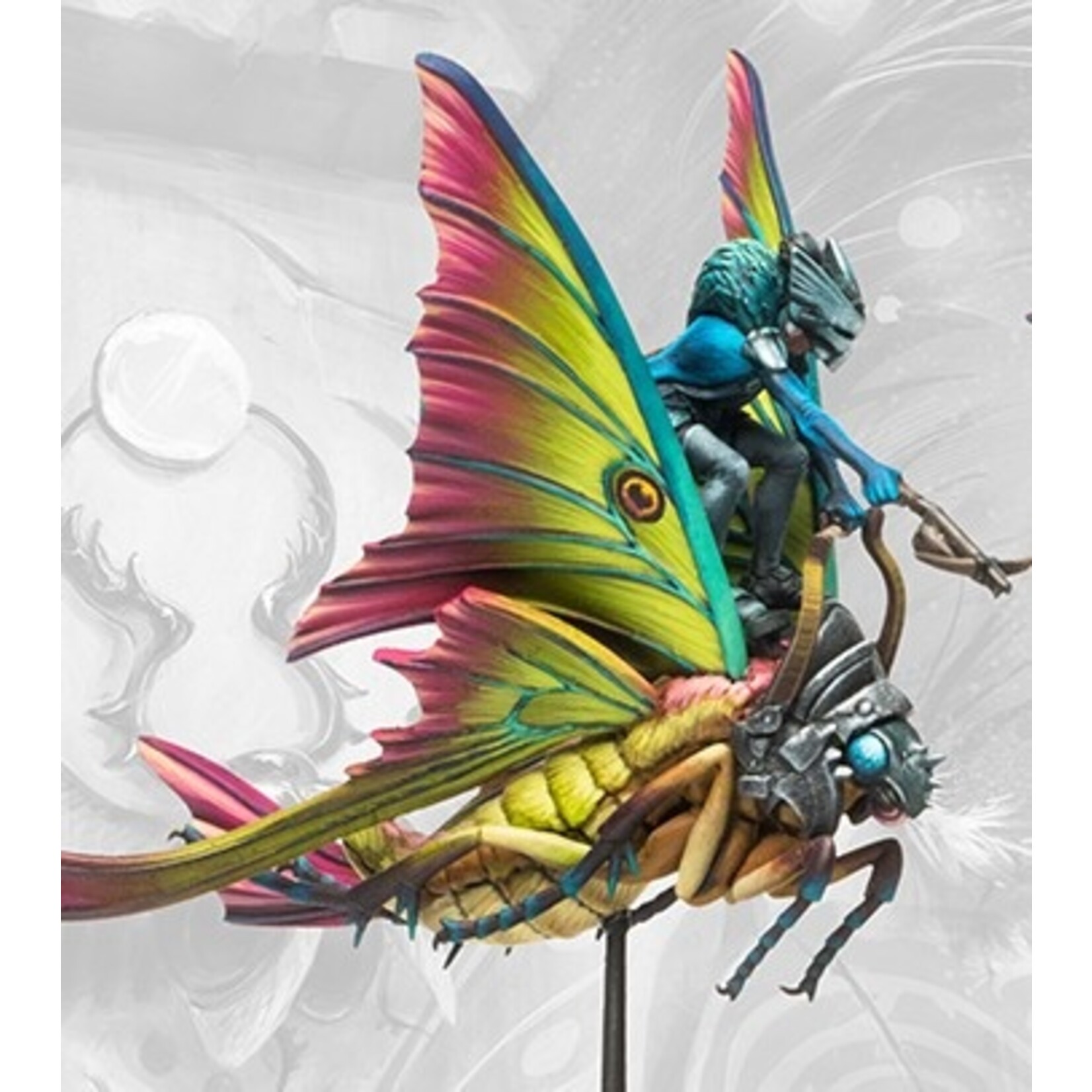 Weaver Courts: Ciannir Riders (pronounced Key-anne-ear)