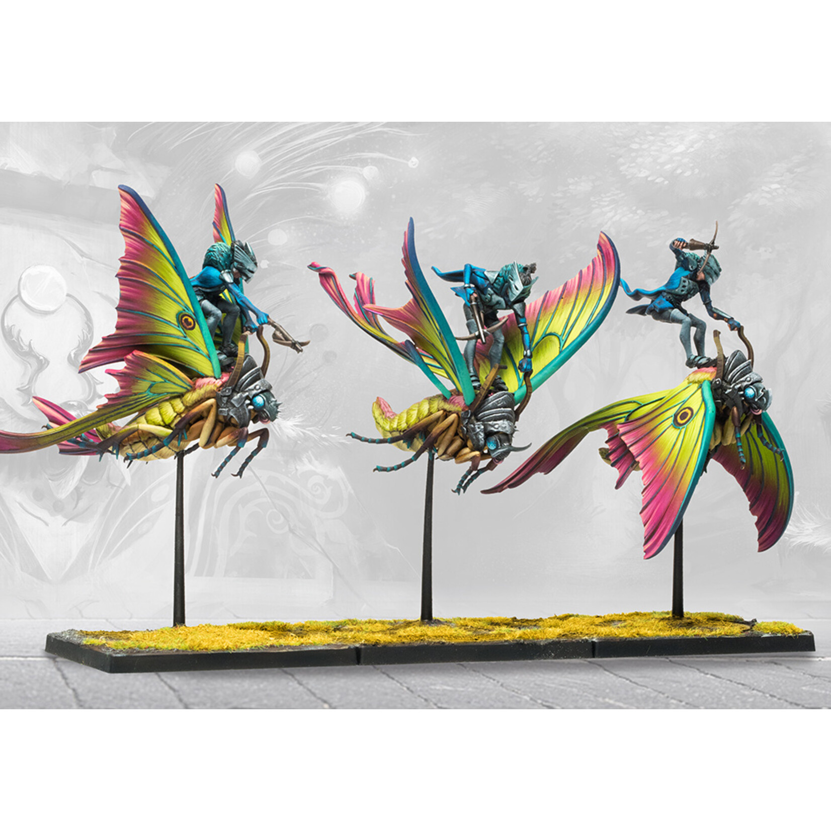 Weaver Courts: Ciannir Riders (pronounced Key-anne-ear)