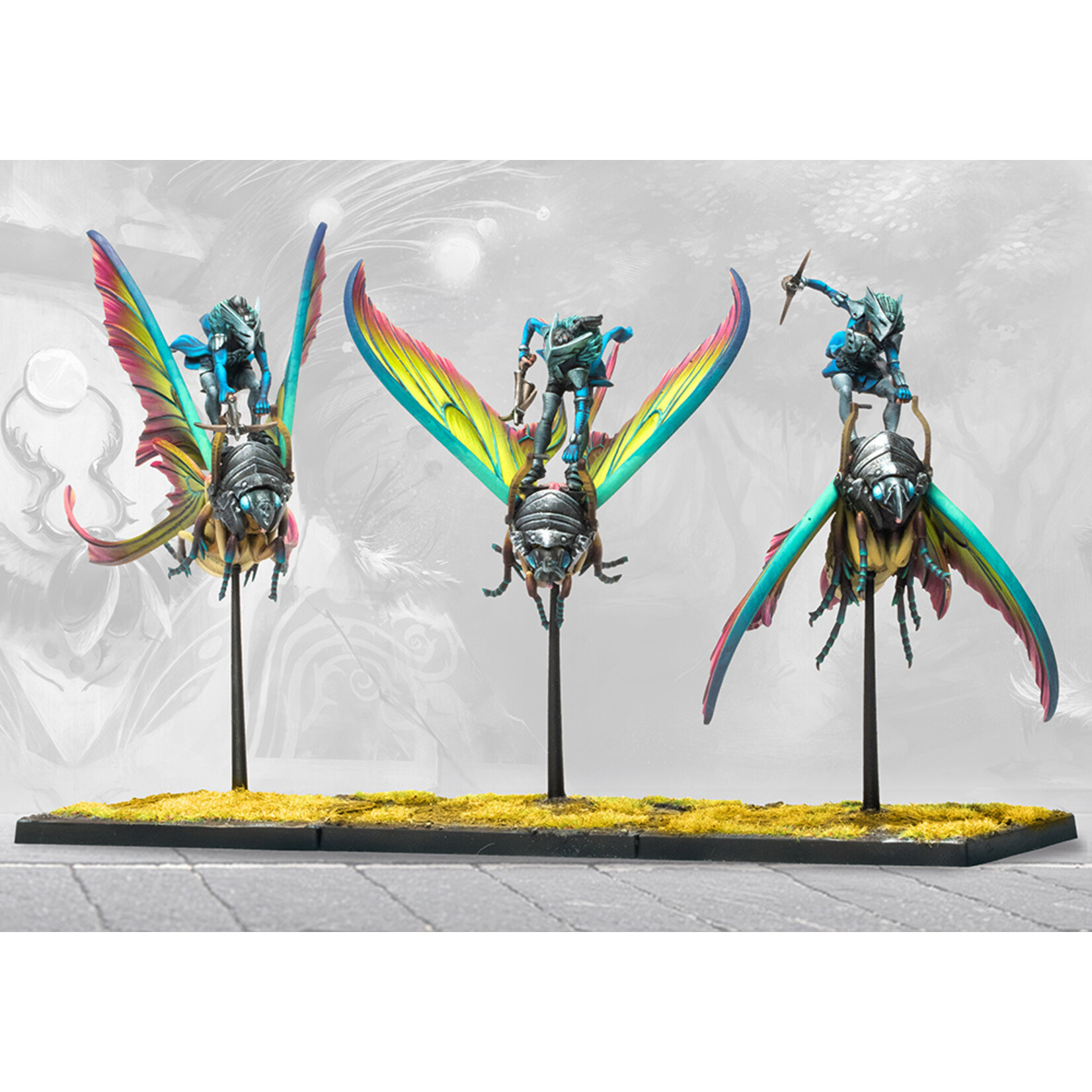 Weaver Courts: Ciannir Riders (pronounced Key-anne-ear)