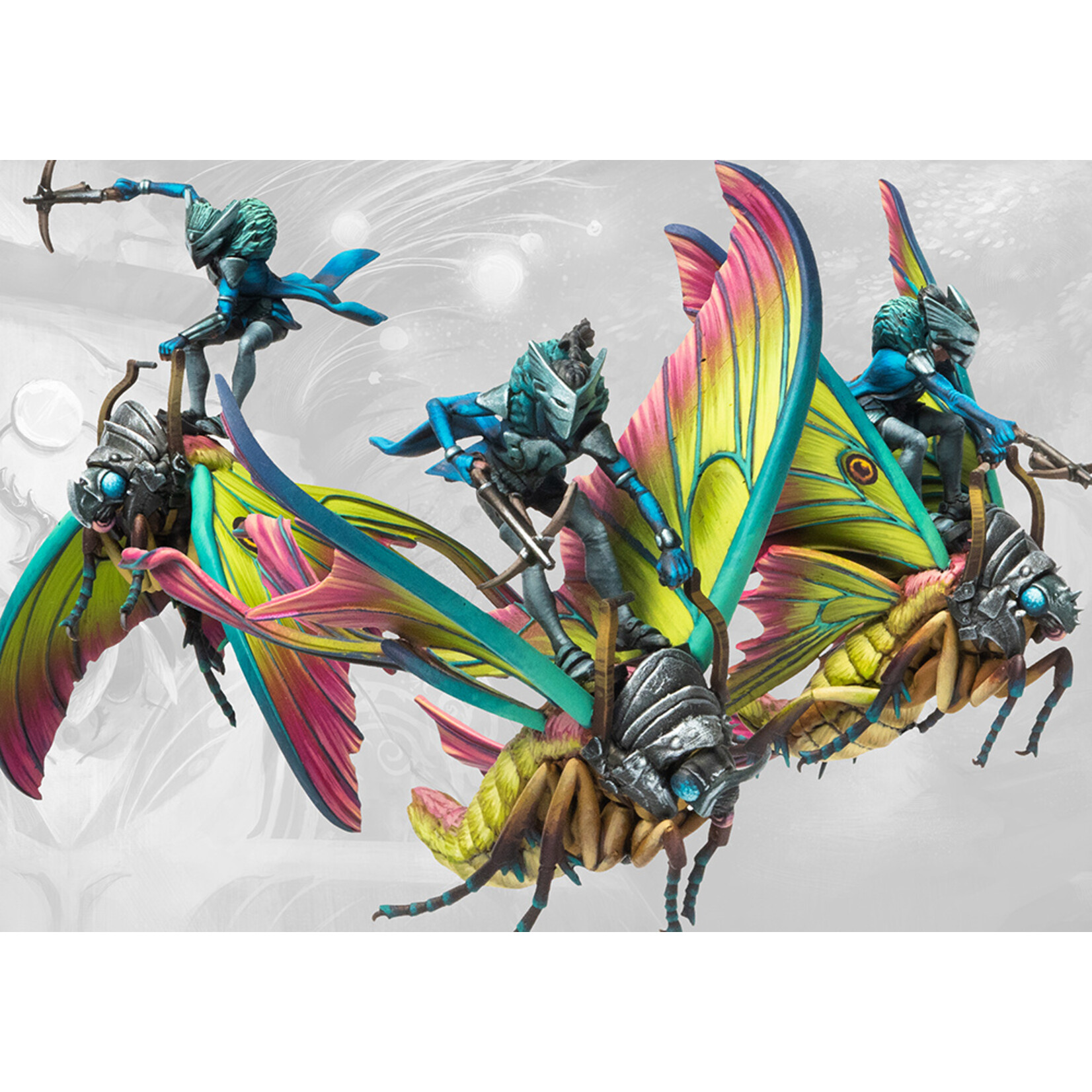 Weaver Courts: Ciannir Riders (pronounced Key-anne-ear)