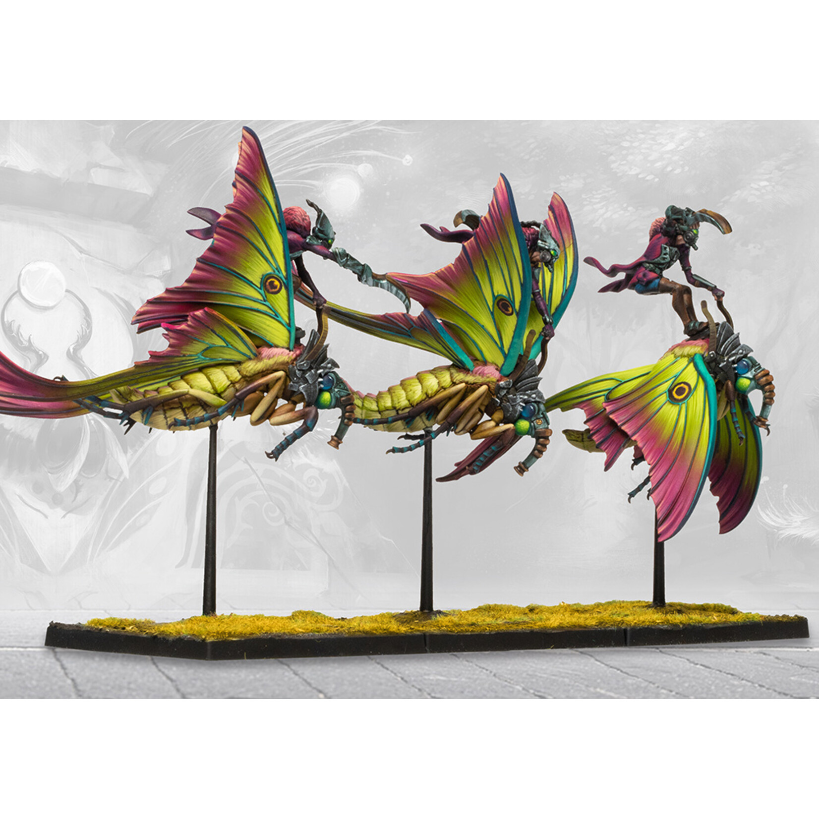 Weaver Courts: Sciathan Riders (pronounced Shkee-haan)