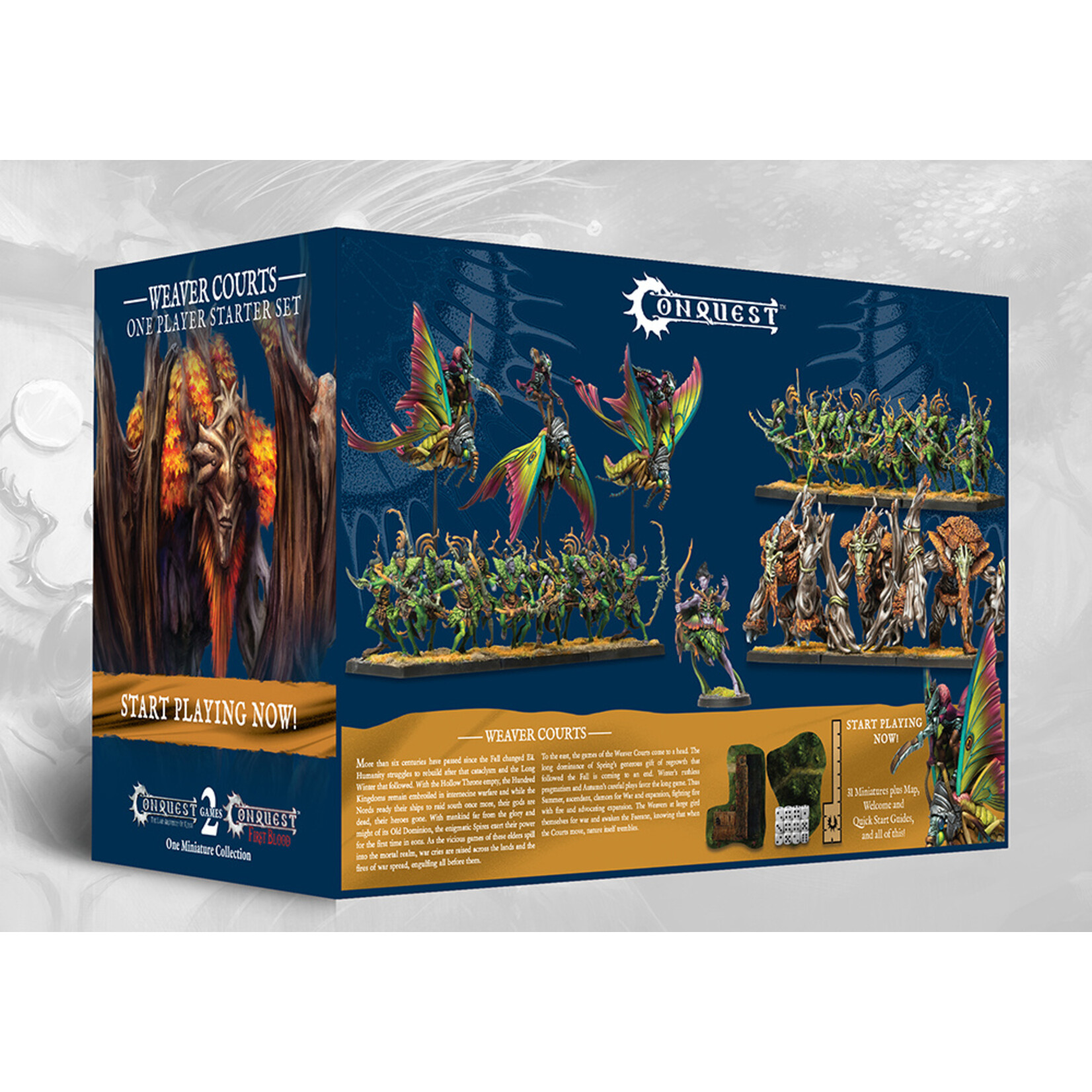 Weaver Courts 1 Player Starter