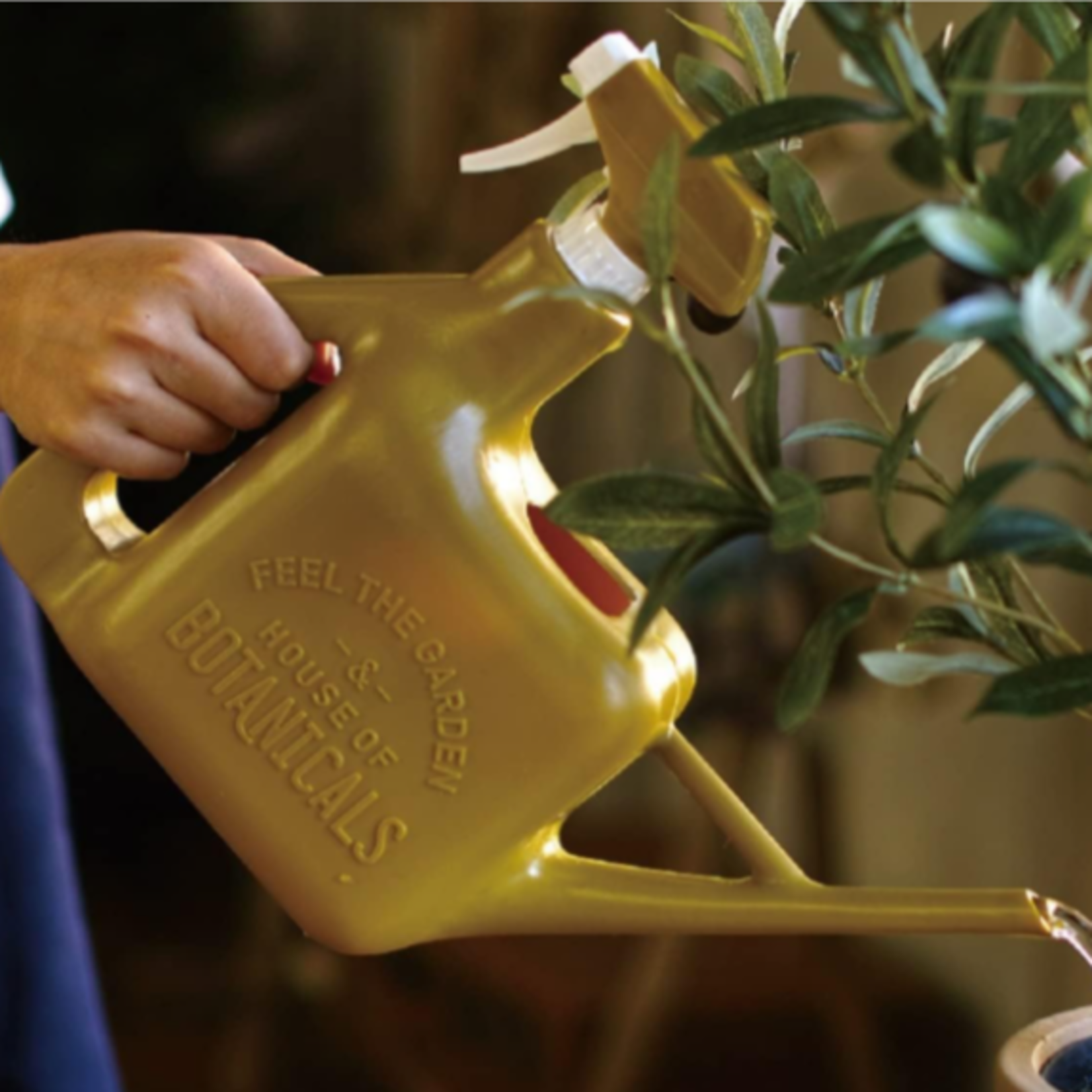 Time Concept Multipurpose Watering Can