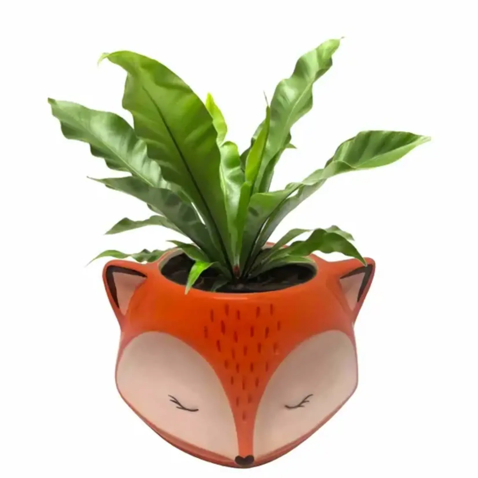 Streamline Fox Planter