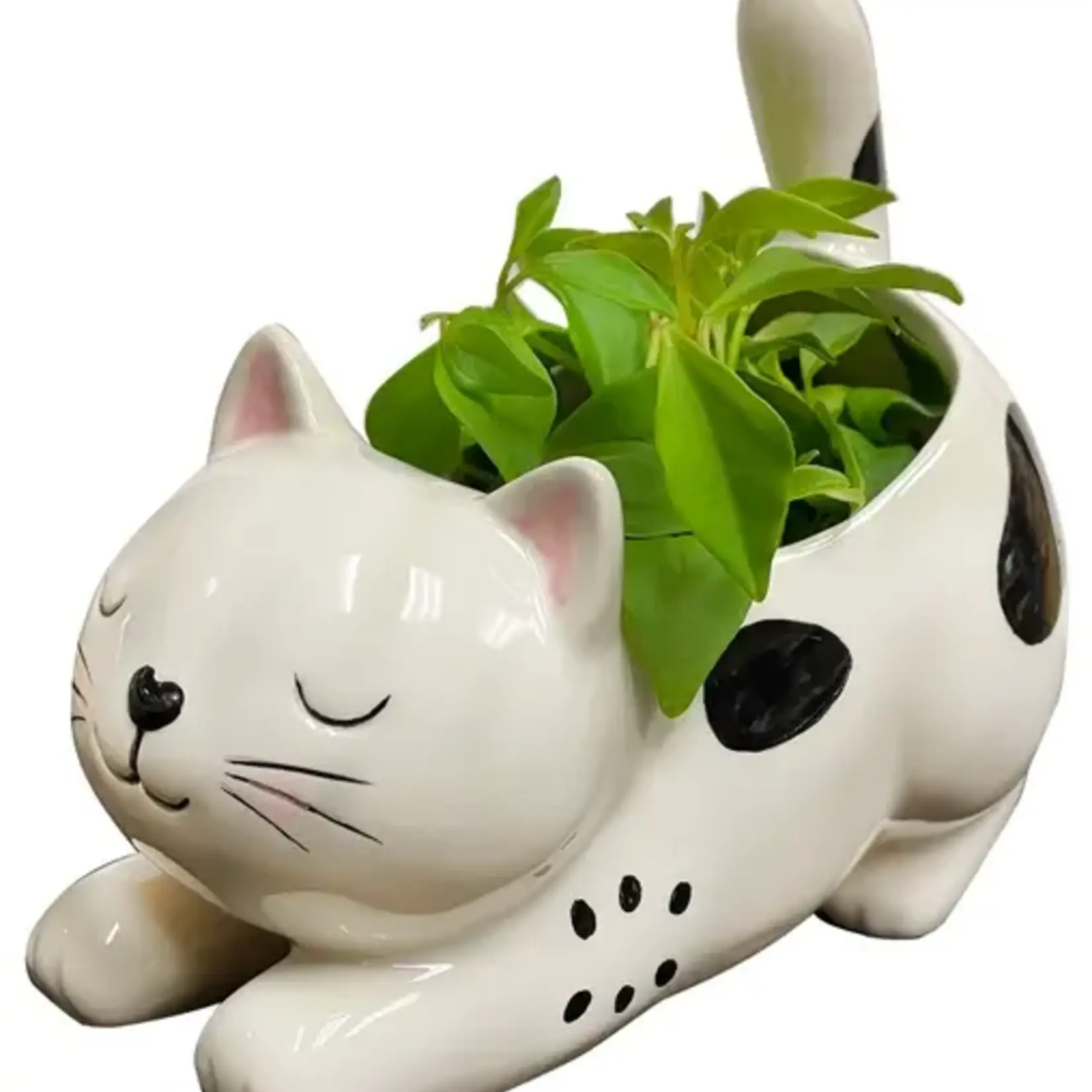 Streamline Kitty Planter