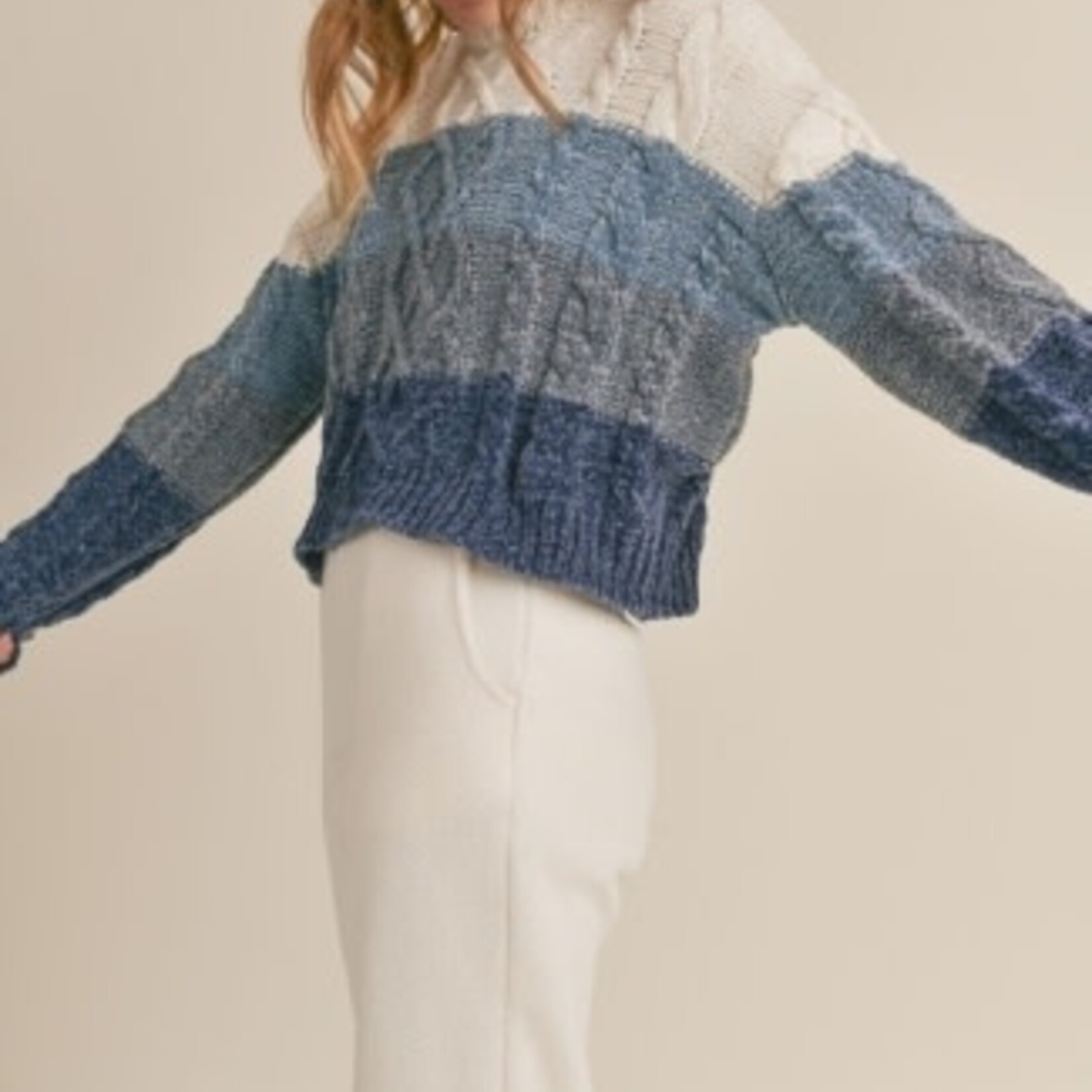 Sadie & Sage TWEEN SHADES OF COOL CHENILLE SWEATER