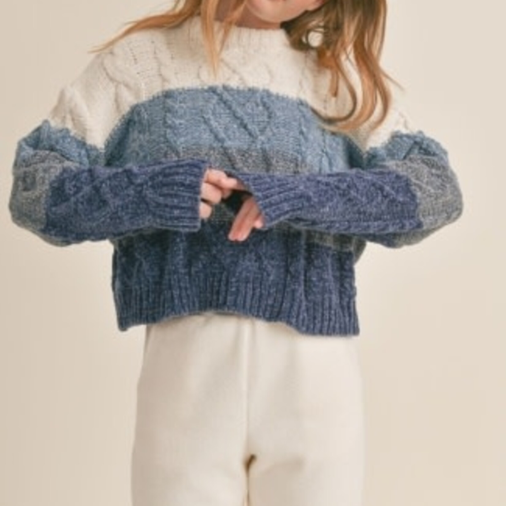 Sadie & Sage TWEEN SHADES OF COOL CHENILLE SWEATER