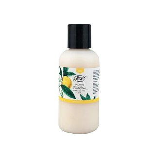 Fresh Citrus— Shampoo (Travel Size)