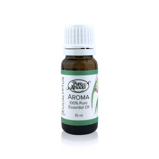 Eucalyptus — Essential Oil  Aroma (Organic)