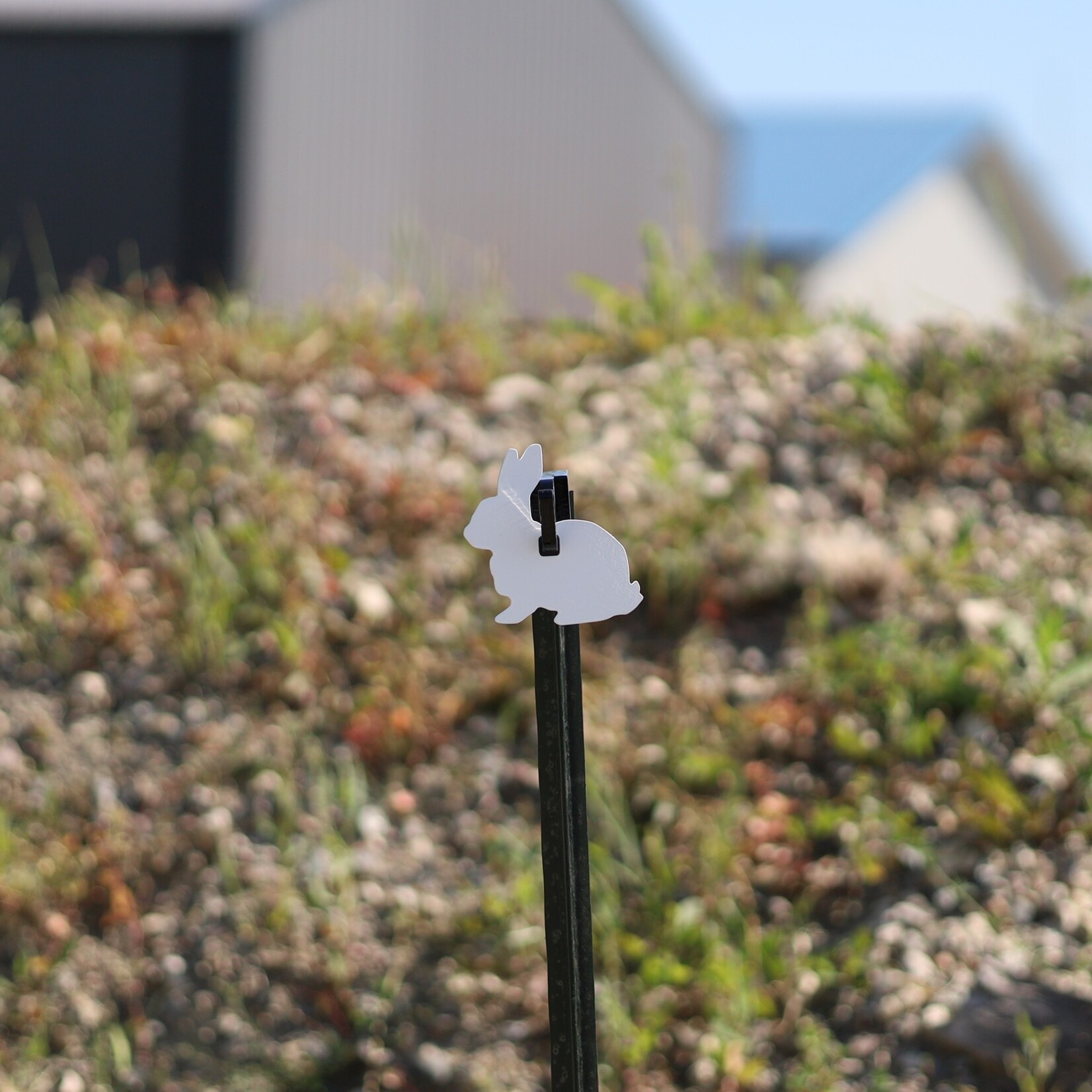 ENGAGE PRECISION ENGAGE PRECISION AR500 STEEL RIMFIRE TARGET SILHOUETTE, BUNNY, 1/4”, 1/2 SIZE, WHITE