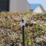 ENGAGE PRECISION ENGAGE PRECISION AR500 STEEL RIFLE TARGET SILHOUETTE, 3/8”, 1/2 SIZE BUSH BUNNY, WHITE