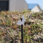 ENGAGE PRECISION ENGAGE PRECISION AR500 STEEL RIFLE TARGET SILHOUETTE, 3/8”, 2/3 SIZE BUSH BUNNY, WHITE