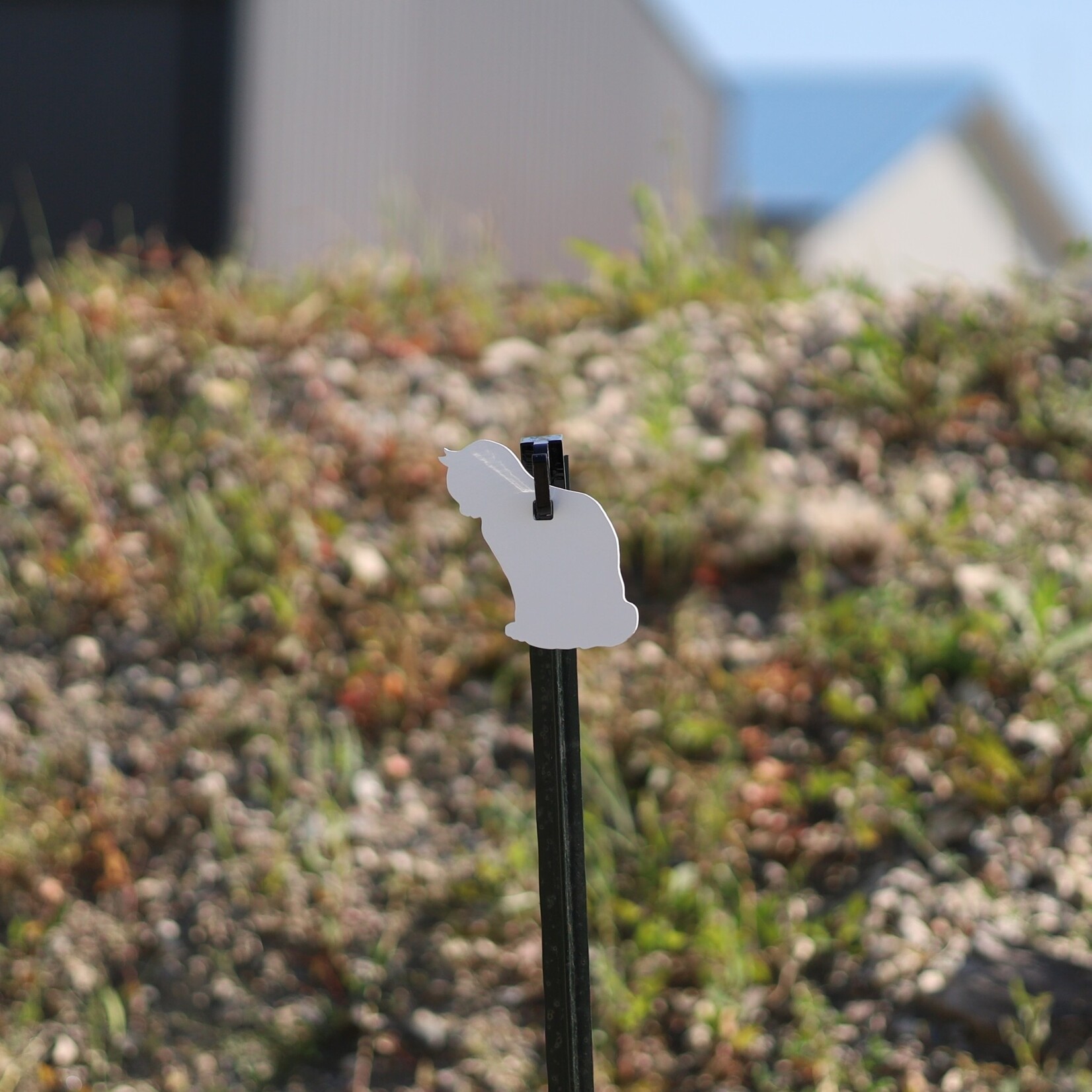 ENGAGE PRECISION ENGAGE PRECISION AR500 STEEL RIMFIRE TARGET SILHOUETTE, CAT, 1/4”, 1/2 SIZE, WHITE