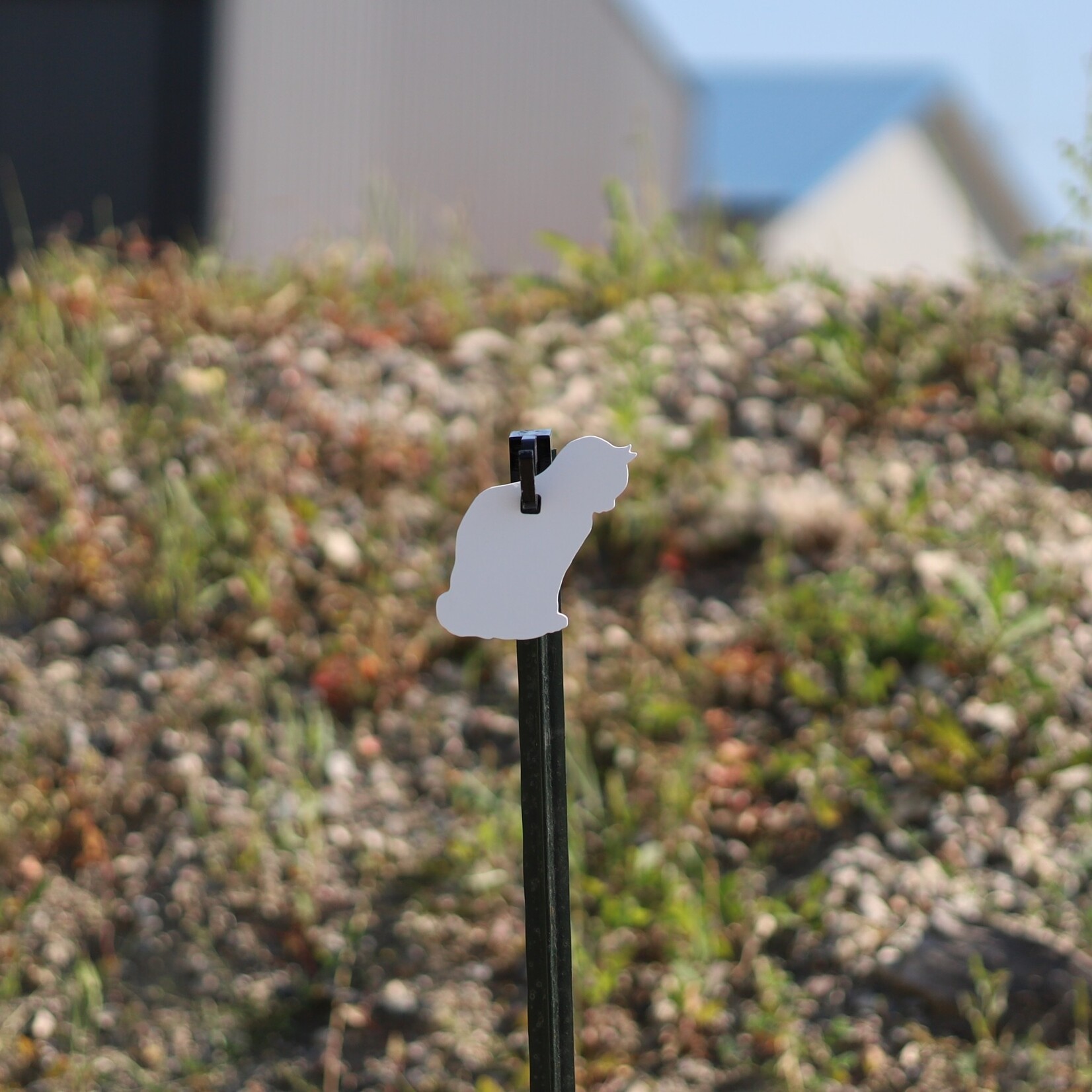 ENGAGE PRECISION ENGAGE PRECISION AR500 STEEL RIFLE TARGET SILHOUETTE, 3/8”, 1/2 SIZE CAT, WHITE