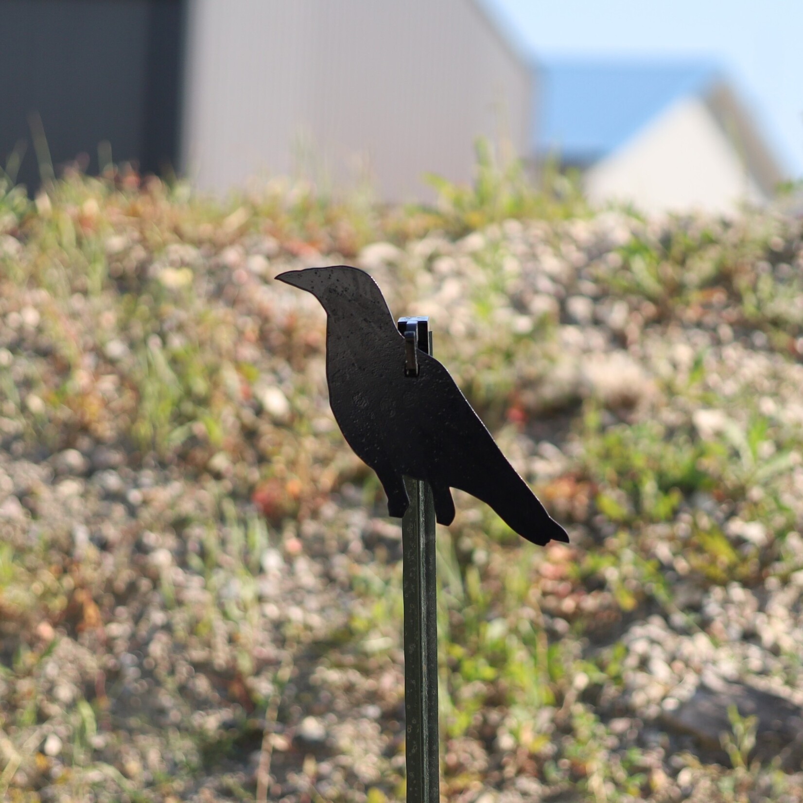 ENGAGE PRECISION ENGAGE PRECISION AR500 STEEL RIFLE TARGET SILHOUETTE, 3/8”, FULL SIZE CROW, BLACK