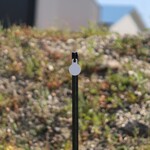 ENGAGE PRECISION ENGAGE PRECISION AR500 STEEL RIMFIRE TARGET GONG, ROUND, 1/4”, 2.5”, WHITE