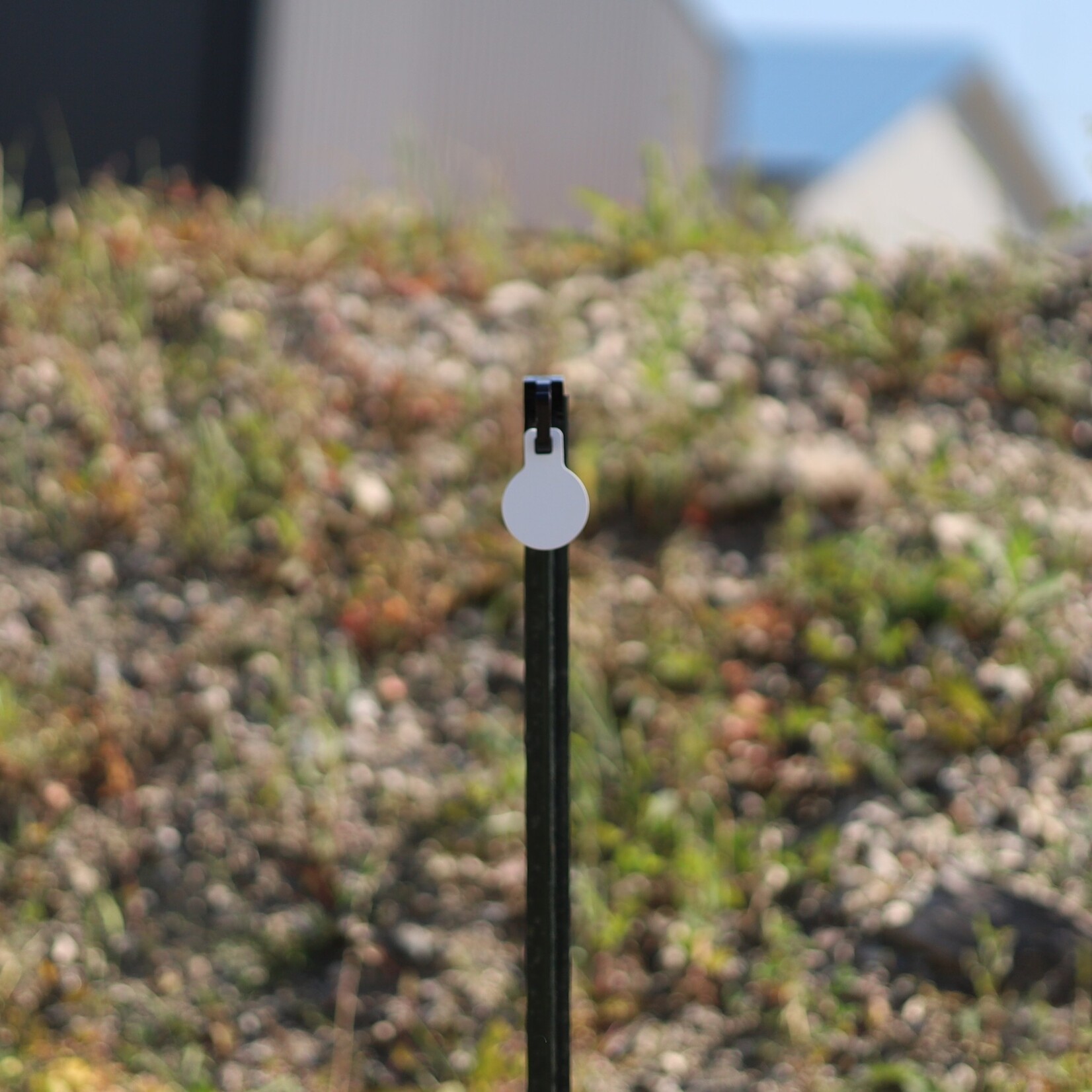 ENGAGE PRECISION ENGAGE PRECISION AR500 STEEL RIMFIRE TARGET GONG, ROUND, 1/4”, 2.5”, WHITE