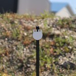 ENGAGE PRECISION ENGAGE PRECISION AR500 STEEL RIMFIRE TARGET GONG, ROUND, 1/4”, 4”, WHITE