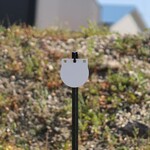 ENGAGE PRECISION ENGAGE PRECISION AR500 STEEL RIMFIRE TARGET GONG, ROUND, 1/4”, 6”, WHITE