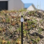 ENGAGE PRECISION ENGAGE PRECISION AR500 STEEL RIFLE TARGET GONG, ROUND, 3/8”, 3”, WHITE