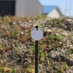 ENGAGE PRECISION ENGAGE PRECISION AR500 STEEL RIFLE TARGET GONG, ROUND, 3/8”, 6”, WHITE