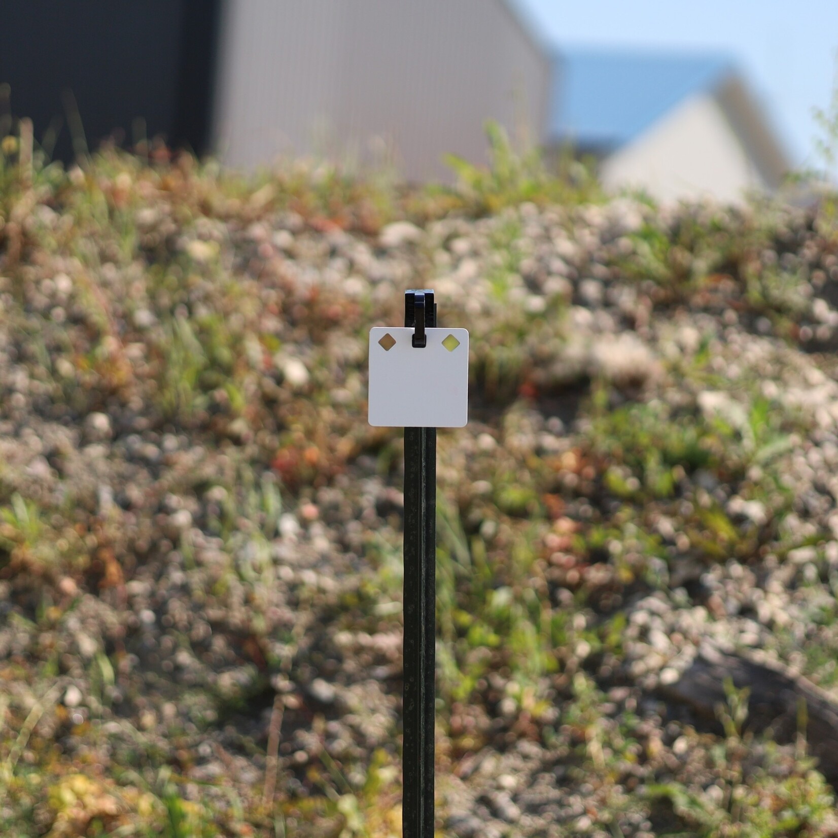 ENGAGE PRECISION ENGAGE PRECISION AR500 STEEL RIMFIRE TARGET GONG, SQUARE/DIAMOND, 1/4,”, 4”, WHITE