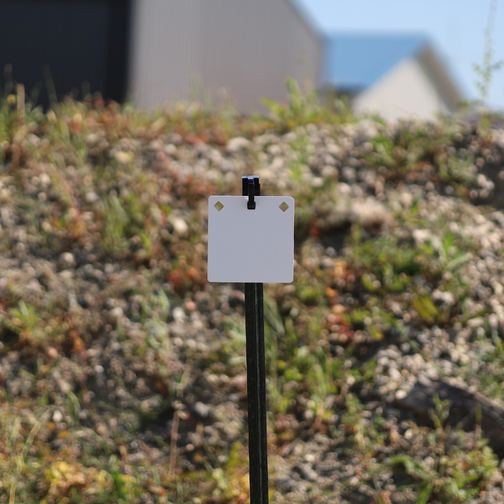 ENGAGE PRECISION ENGAGE PRECISION AR500 STEEL RIMFIRE TARGET GONG, SQUARE/DIAMOND, 1/4”, 6”, WHITE