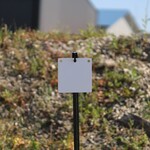 ENGAGE PRECISION ENGAGE PRECISION AR500 STEEL RIMFIRE TARGET GONG, SQUARE/DIAMOND, 1/4”, 8”, WHITE