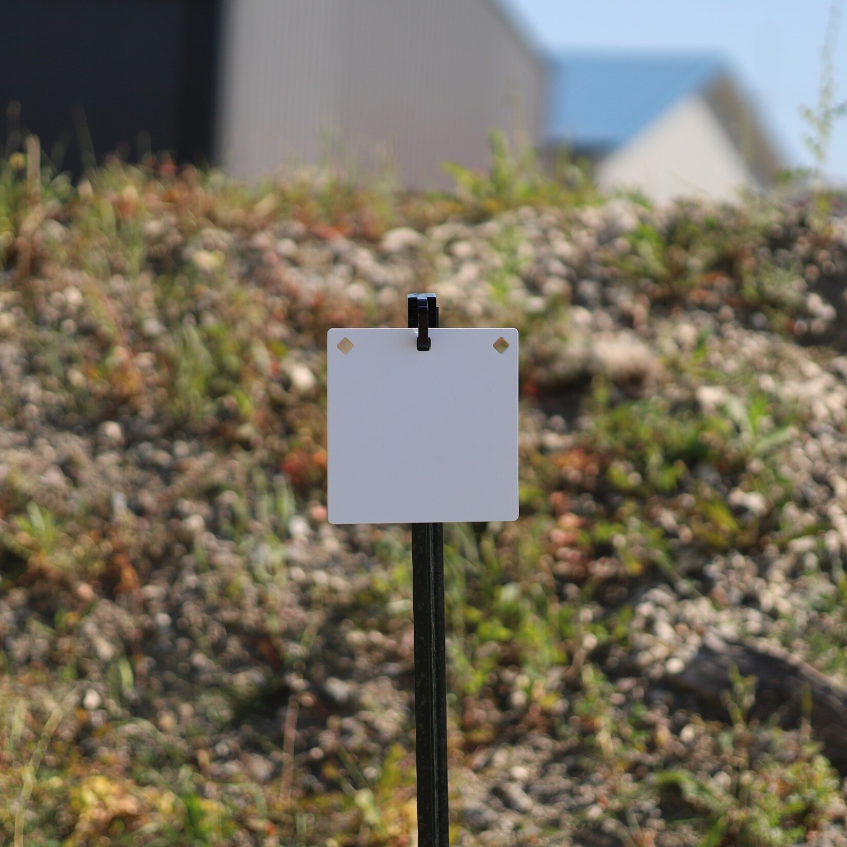 ENGAGE PRECISION ENGAGE PRECISION AR500 STEEL RIMFIRE TARGET GONG, SQUARE/DIAMOND, 1/4”, 8”, WHITE