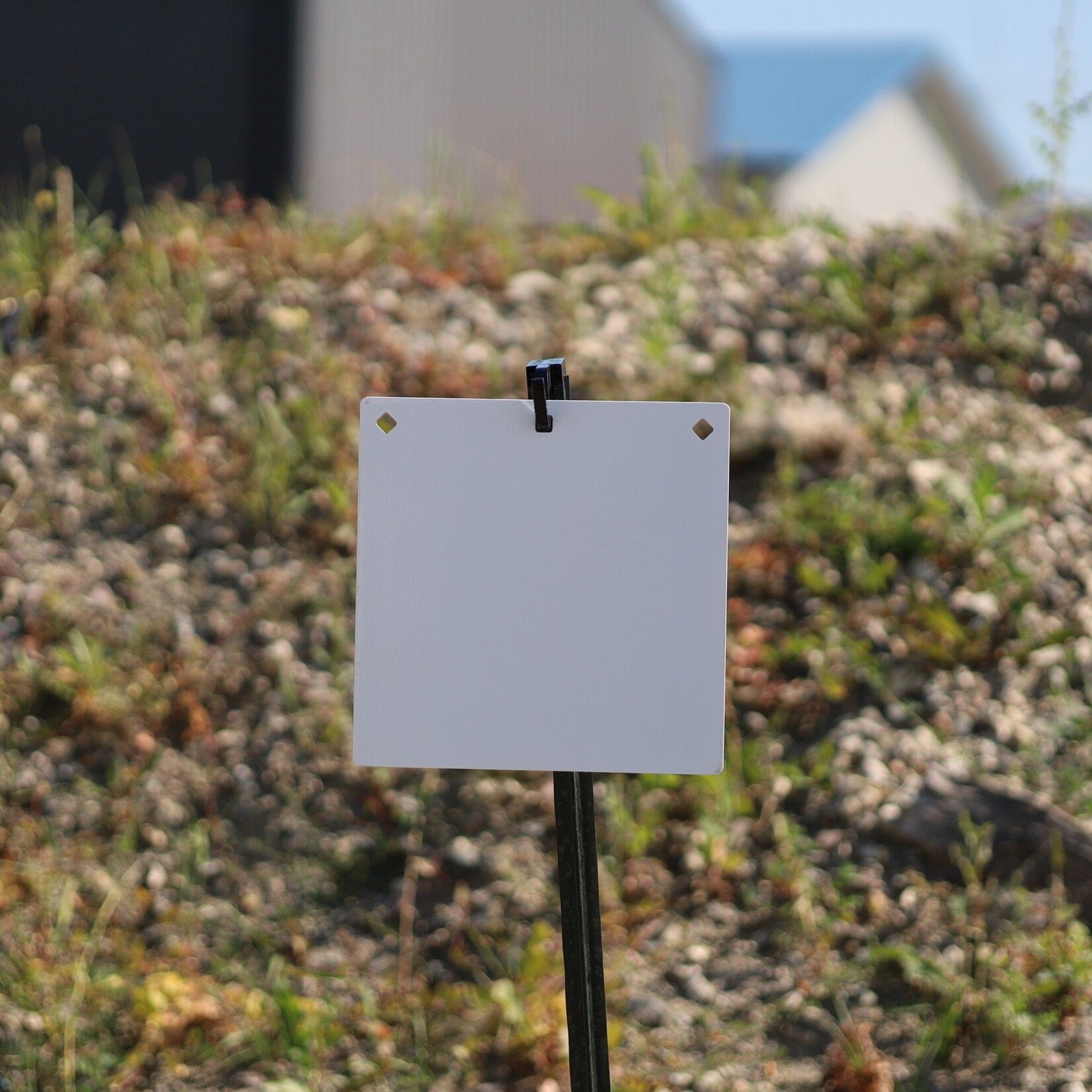 ENGAGE PRECISION ENGAGE PRECISION AR500 STEEL RIFLE TARGET GONG, SQUARE/DIAMOND, 3/8”, 12”, WHITE