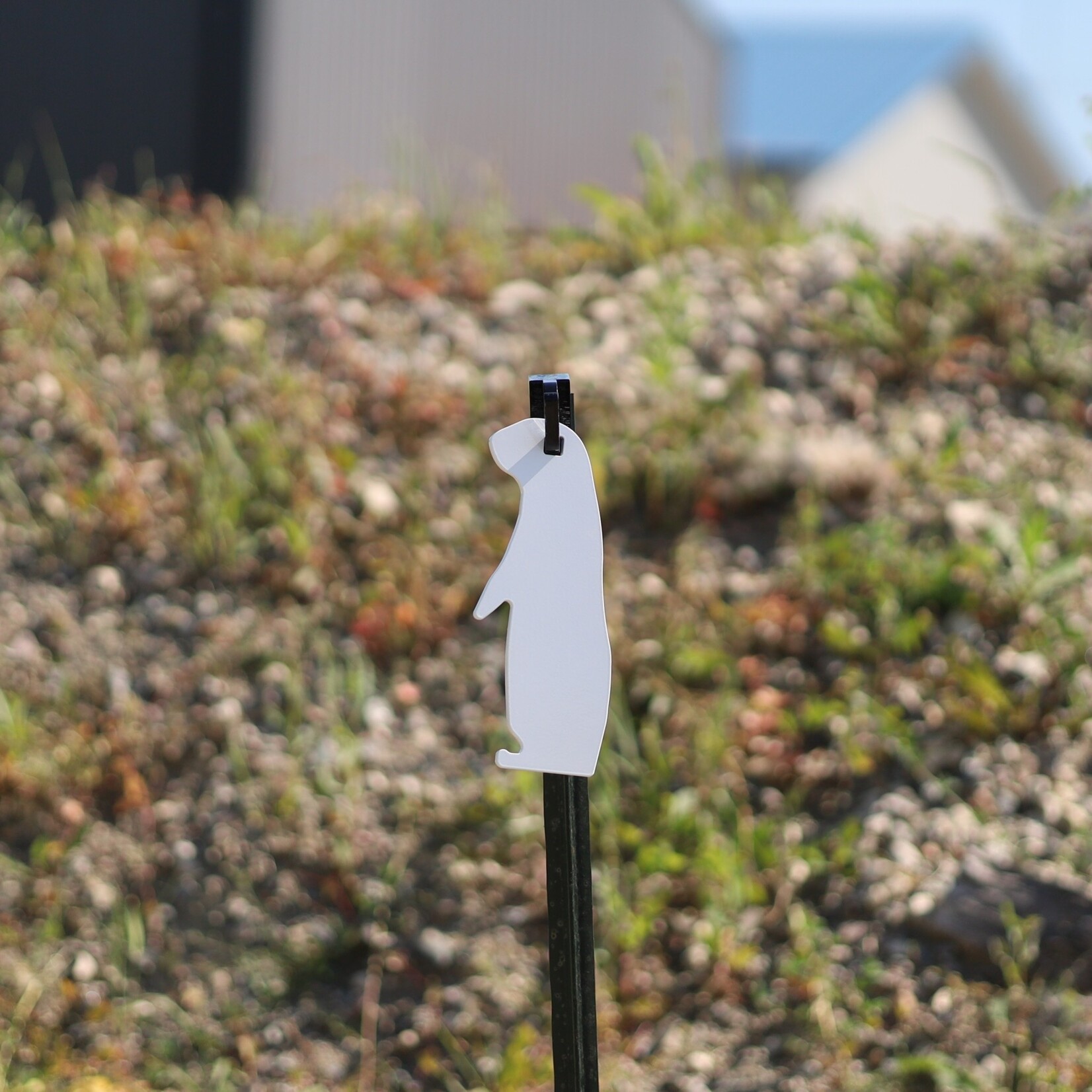 ENGAGE PRECISION ENGAGE PRECISION AR500 STEEL RIMFIRE TARGET SILHOUETTE, PRAIRIE DOG, 1/4”, FULL SIZE, WHITE