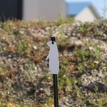 ENGAGE PRECISION ENGAGE PRECISION AR500 STEEL RIFLE TARGET SILHOUETTE, 3/8”, FULL SIZE PRAIRIE DOG, WHITE