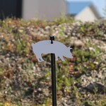 ENGAGE PRECISION ENGAGE PRECISION AR500 STEEL RIFLE TARGET SILHOUETTE, 3/8”, 1/4 SIZE PIG, WHITE