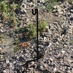 ENGAGE PRECISION ENGAGE PRECISION AR500 STEEL SHEPHERD HOOK TARGET STAND, 3/8”, 24” HEIGHT, W/ 1 HOOK, BLACK