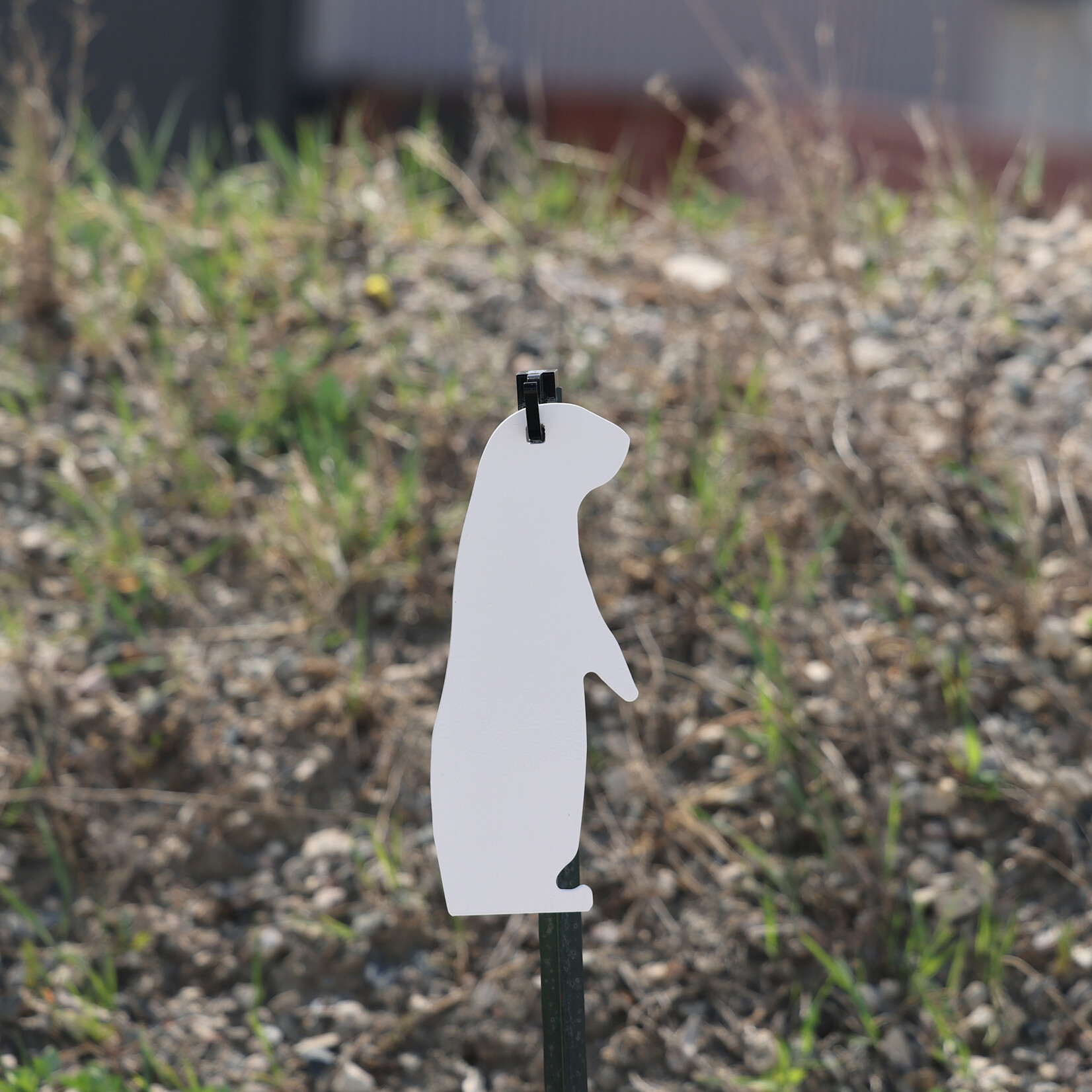 ENGAGE PRECISION ENGAGE PRECISION AR500 STEEL RIFLE TARGET SILHOUETTE, 3/8”, XXL SIZE PRAIRIE DOG, WHITE
