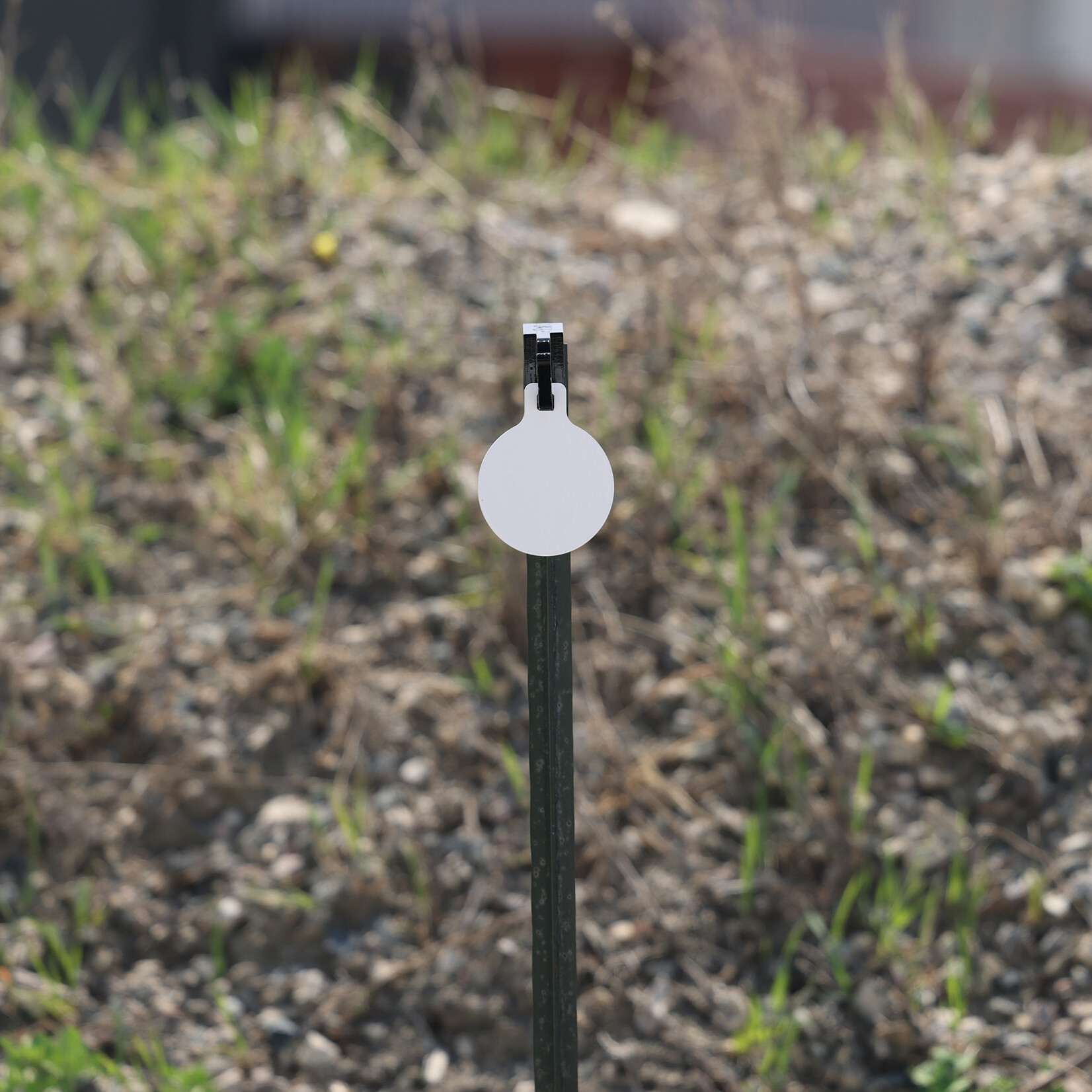 ENGAGE PRECISION ENGAGE PRECISION AR500 STEEL RIMFIRE NRL 22 TARGET GONG, ROUND, 1/4”, 4”, WHITE