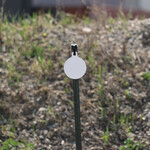 ENGAGE PRECISION ENGAGE PRECISION AR500 STEEL RIMFIRE NRL 22 TARGET GONG, ROUND, 1/4”, 5”, WHITE