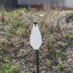 ENGAGE PRECISION ENGAGE PRECISION AR500 STEEL RIFLE TARGET SILHOUETTE, 3/8”, IPSC CLASSIC OCTAGON, A ZONE, WHITE