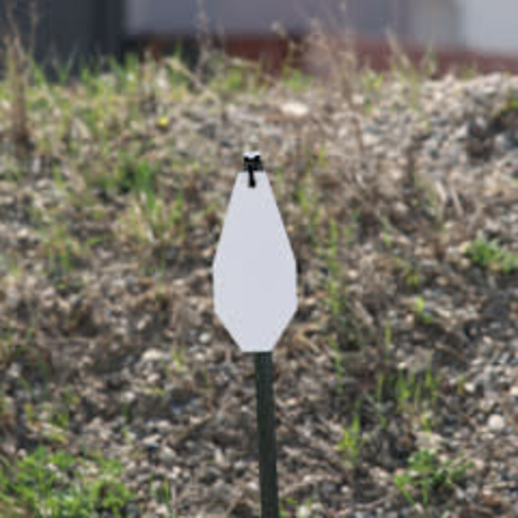 ENGAGE PRECISION ENGAGE PRECISION AR500 STEEL RIFLE TARGET SILHOUETTE, 3/8”, IPSC CLASSIC OCTAGON, A ZONE, WHITE