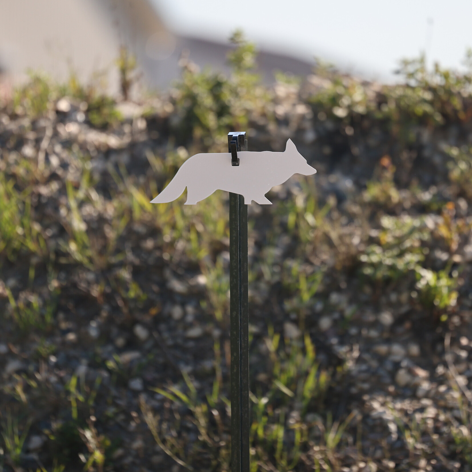 ENGAGE PRECISION ENGAGE PRECISION AR500 STEEL RIMFIRE TARGET SILHOUETTE, 1/4", 1/4 SIZE COYOTE, WHITE