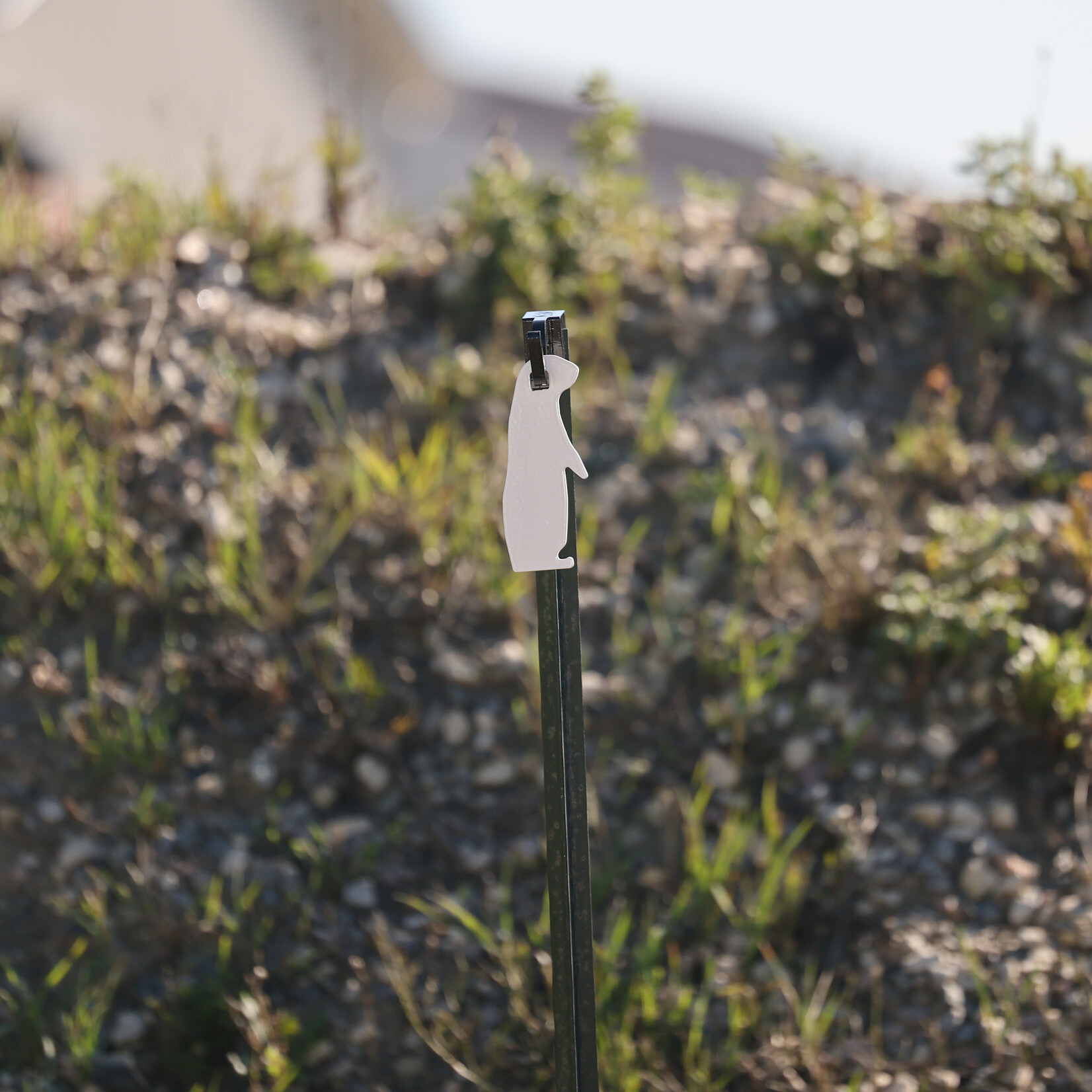 ENGAGE PRECISION ENGAGE PRECISION AR500 STEEL RIMFIRE TARGET SILHOUETTE, 1/4", 2/3 SIZE PRAIRIE DOG, WHITE