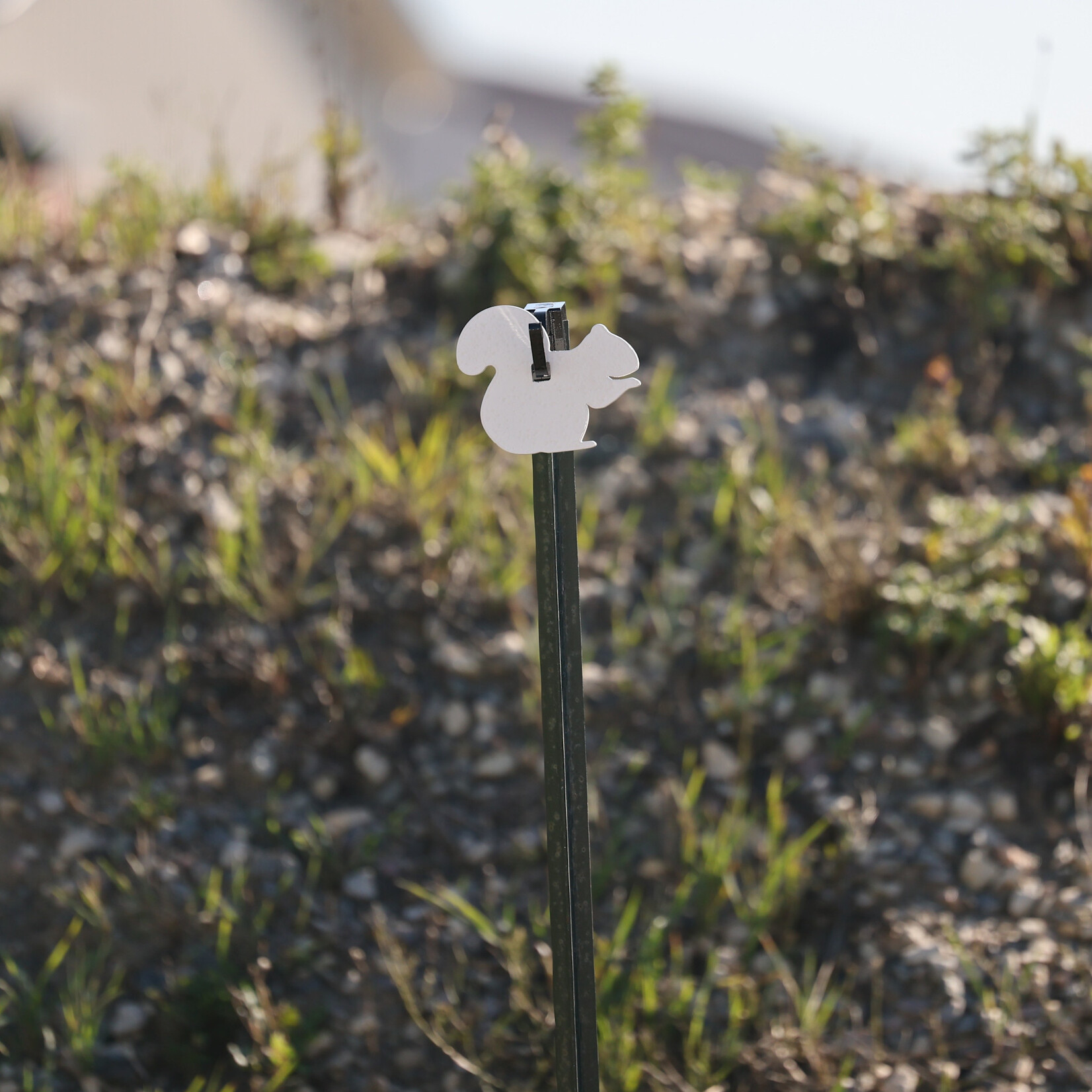 ENGAGE PRECISION ENGAGE PRECISION AR500 STEEL RIMFIRE TARGET SILHOUETTE, 1/4", 2/3 SIZE SQUIRREL, WHITE