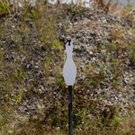 ENGAGE PRECISION ENGAGE PRECISION AR500 STEEL RIFLE TARGET SILHOUETTE, 3/8", FULL SIZE BOWLING PIN, WHITE